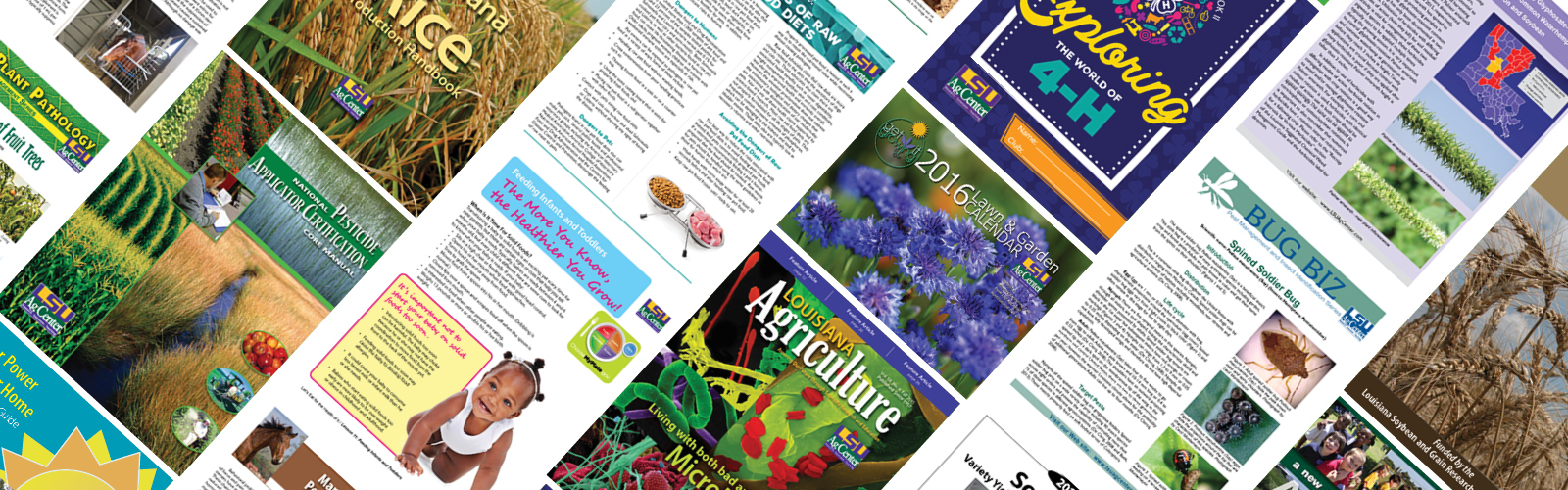 Publications